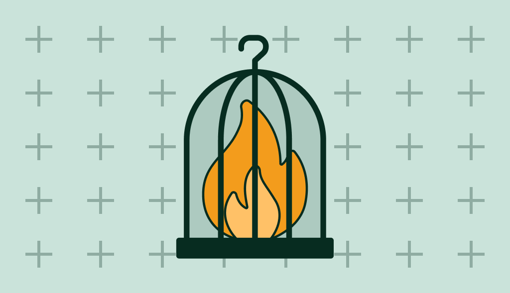 A fire in a bird cage.